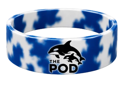 Dolphin wristband